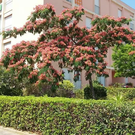 T3 Spacieux Et Lumineux A 5min Du Port De - Fleur De Mai Apartment
